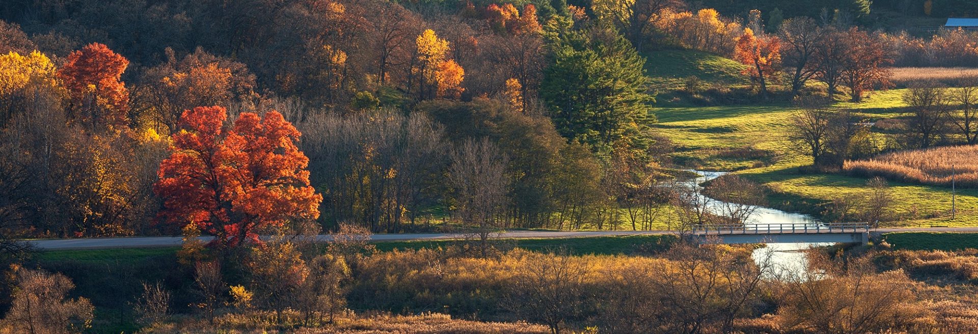 towns-banner-3-2000x683